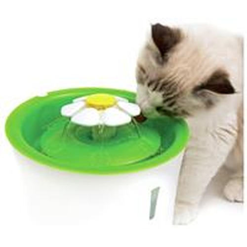 Cat Bowls & Feeders