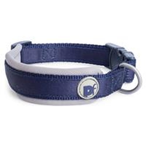 Dog Collars & Leads
