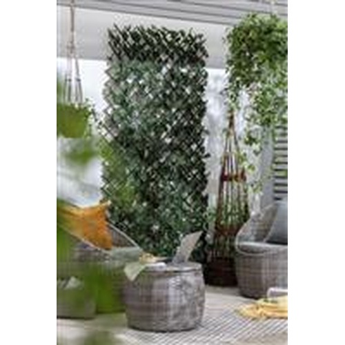 Garden Fencing & Trellis