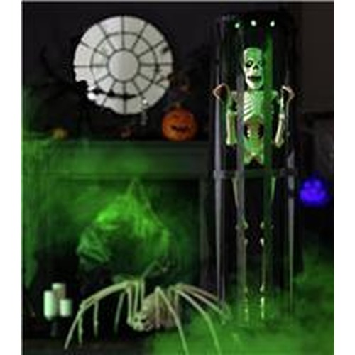 Party Decorations & Supplies