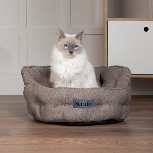Cat Beds