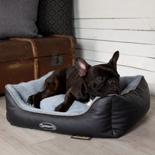 Dog Beds
