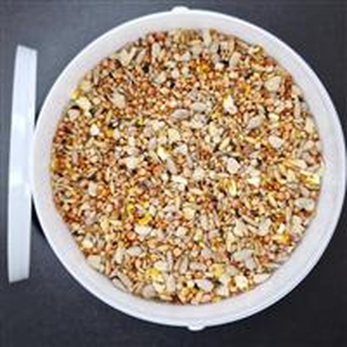 Bird Wildlife Feeders