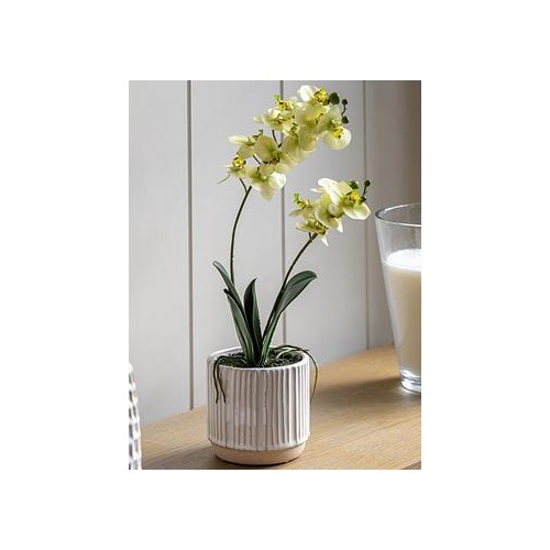  Artificial Plants Flowers