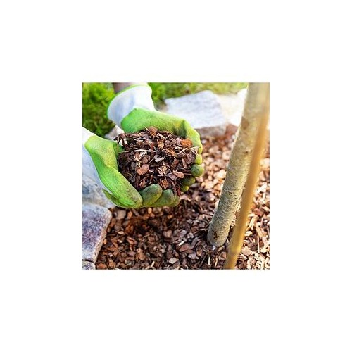  Fertilizer Compost Plant Food