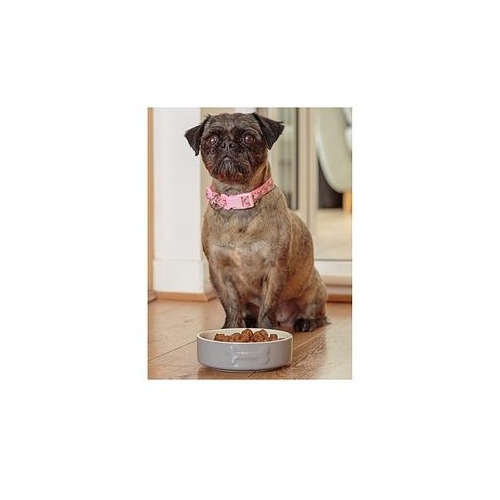  Pet Feeding Bowls
