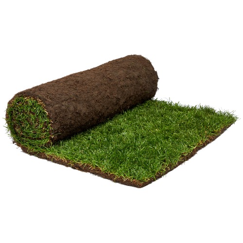 Turf Rolls