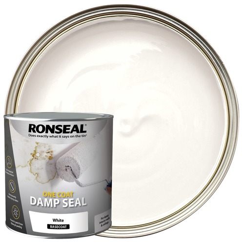 Wall Ceiling Emulsion Paint