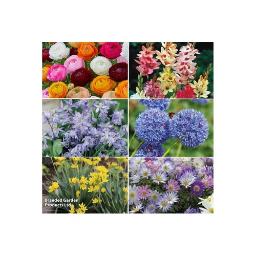 Gardening Plants Flowers