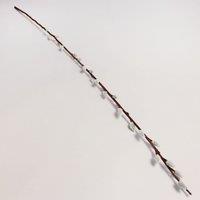 24pk Artificial Pussy Willow White 100cm White