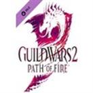 Guild Wars 2: Path of Fire | Standard Edition (PC)  NCSoft Key  GLOBAL