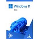 Microsoft Windows 11 Pro OEM (PC)  Microsoft Key  GLOBAL