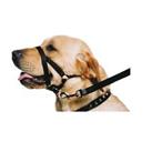 Ancol Dog Training Halter Nylon Head Harness No Pull Halti Trainer  SML MED LGE