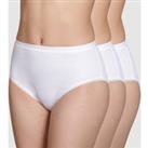 Pack of 3 Maxi Knickers in Cotton