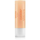 Weleda Everon Protective Lip Balm SPF 4 4.8 g