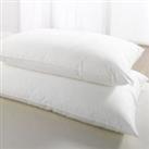 Love2Sleep Egyptian Cotton Pillows (Hotel Quality) - Pack Of 2