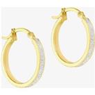 9ct Yellow Gold Small Stardust Hoop Earrings 1.51.1179