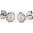 Sterling Silver 4.55.5mm Freshwater Pearl Stud Earrings EOW70052FW