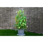 Modern Grey Tower Pot - 1 or 2 Pack!