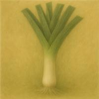Leek Musselburgh Seeds | Hardy Winter Leek | Traditional UK Variety
