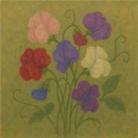 Sweet Pea Incense Mix Seeds | Strongly Fragrant Flowers | UK Grow