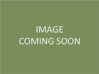 ACER SINENSE, Chinese Maple, ornamental, beautifully shaped leaves, 20-30cm tall