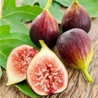 1x Fig Tree 'Brown Turkey' - 1l Pot - 20-30cm - Organically Grown