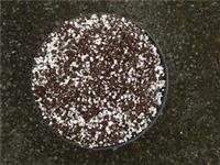 Carnivorous delux plant compost venus flytrap sundews dionaea sarracenia