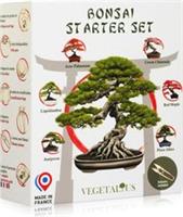 Complete kit of 6 Bonsai with Seeds & Accessories - Made in France - an Gift...