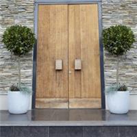 Bay Tree, Pair of Standard Trees, 70-80cm Tall, Evergreen Easy to Grow