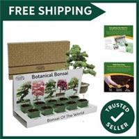 Grow Your Own Bonsai Tree Kit with 5 Seed Varieties - Indoor Growing Set with...