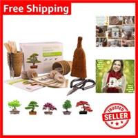 Bonsai Tree Kit: Grow 5 Varieties from Seeds - Eco-Friendly Gardening Gift Set