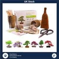 Elegant Bonsai Tree Kit - Grow 6 Varieties from Seeds - Beginner-Friendly Gift