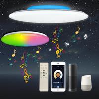 Modern LED Ceiling Lights With Bluetooth Speaker Voice Control RGB Ceiling Lamps For Bedroom Living Room Work With Alexa Google