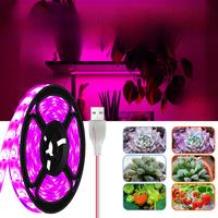 USB Phyto Lamp Led Grow Strip Light Full Spectrum Plant Growth Light Greenhouse Phytolamp for Plants Hydroponics Growing System