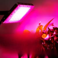 Led Grow Light Plant Hydroponic Lamp LED Full Spectrum 220V LED Phytolamps Light Greenhouse Seeds Flower Grow Lighting 50W 100W