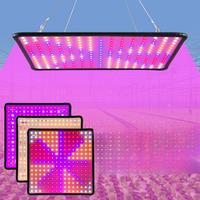 LED Full Spectrum Phytolamp For Plants Grow Light Indoor Flower Seeds Hydroponics Cultivation Phyto