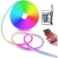 5V USB RGB Neon LED Strip Light,1/2/3/4/5M Waterproof Neon Strip With Bluetooth App and Remote