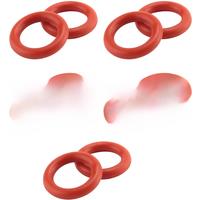 O-Ring Rubber Ring 10 Packs Suitable for Karcher SC2 SC3 SC4 SC5 CT10 Steam Cleaner