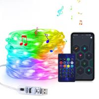 RGB IC LED Light String Bluetooth USB 5V Music Dream Color Light WS2812B Christmas Birthday Party Garland Decor Home Elf Light
