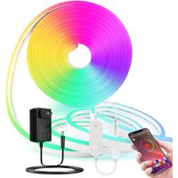 Tuya Intelligent LED Strip Light Strip 6 * 12mm 24V 2A RGB Waterproof Neon Light Strip Suitable For Courtyard Decoration