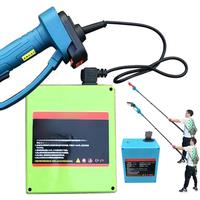 Electric High Branch Saw, Brushless Lithium Chain Saw, Garden Logging Electric Pruning Saw, Rechargeable Handheld Mini Chainsaw
