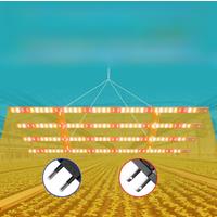 624Leds Plant Grow Light Full Spectrum Quantum Board Growth Box Seeds Cultivation Lamp Greenhouse Tent Hydroponic Vegs Lighting