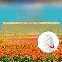 LED Full Spectrum Plant Grow Light 220V Sunlight Veg/Bloom 180Folding Quantum Board Flower Succulent Growth Cultivate Lamp 110V