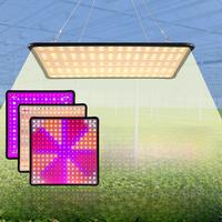 100W LED Plant Grow Light Full Spectrum Quantum Board Flower Seed Indoor Hydroponic Greenhouse Vegetable Cultivation Growth Lamp