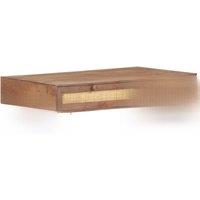Low Table 100x60x40 cm solid mango wood