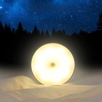 Motion Sensing Wall Lamp, Usb Rechargeable Led Night Light, for Wardrobe Hallway Bedside Bathroom