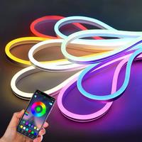 EU Plug DC12V/24V RGB Neon LED Strip,1/2/3/4/5/10/15M Neon RGB Strip With Bluetooth/Remote control for Home Neon Decor Lighting