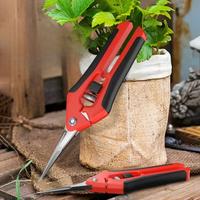 Stainless Steel Branch Pruning Gardening Scissors Fruit Gardening Fruit Tree Pruning Flower Branch Floral Gardening Tools