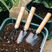 3pcs/set, Garden Tool Set Rake Tip Shovel Large Gardening Mini Succulent Plant Loose Soil Flower